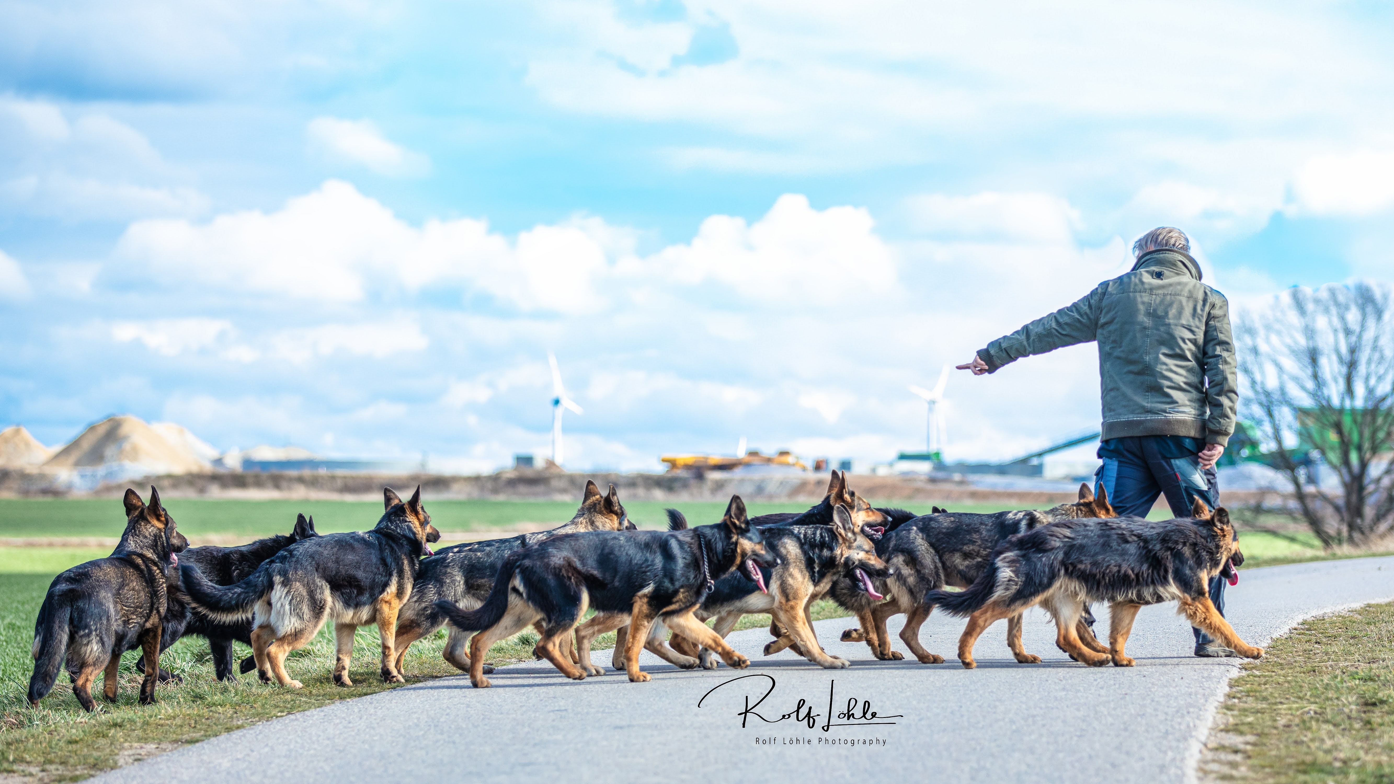 Mario Jessat und die Idee hinter Stadtwolf